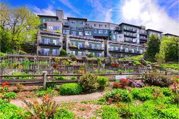 A sunny day at a garden in front of a multi-story building.